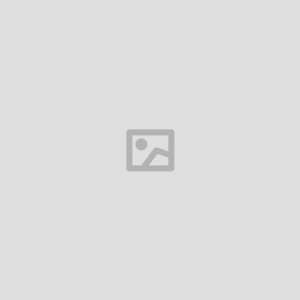 Cordless Screwdriver